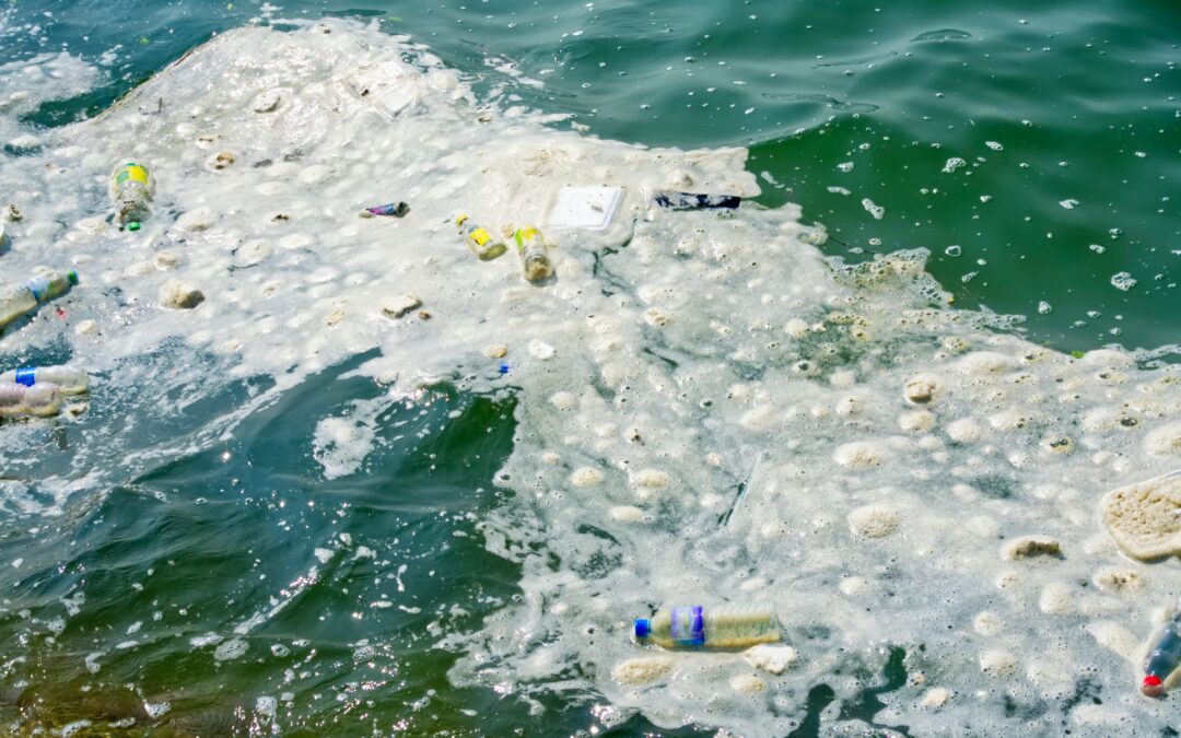 Detersivi e sostanze chimiche: come possono compromettere la tua salute e l’ambiente – Scopri l’alternativa eco-compatibile.