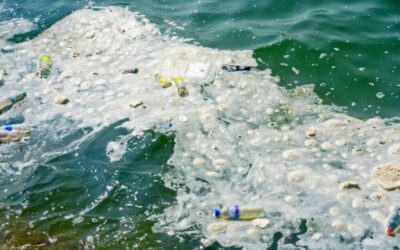 Detersivi e sostanze chimiche: come possono compromettere la tua salute e l’ambiente – Scopri l’alternativa eco-compatibile.